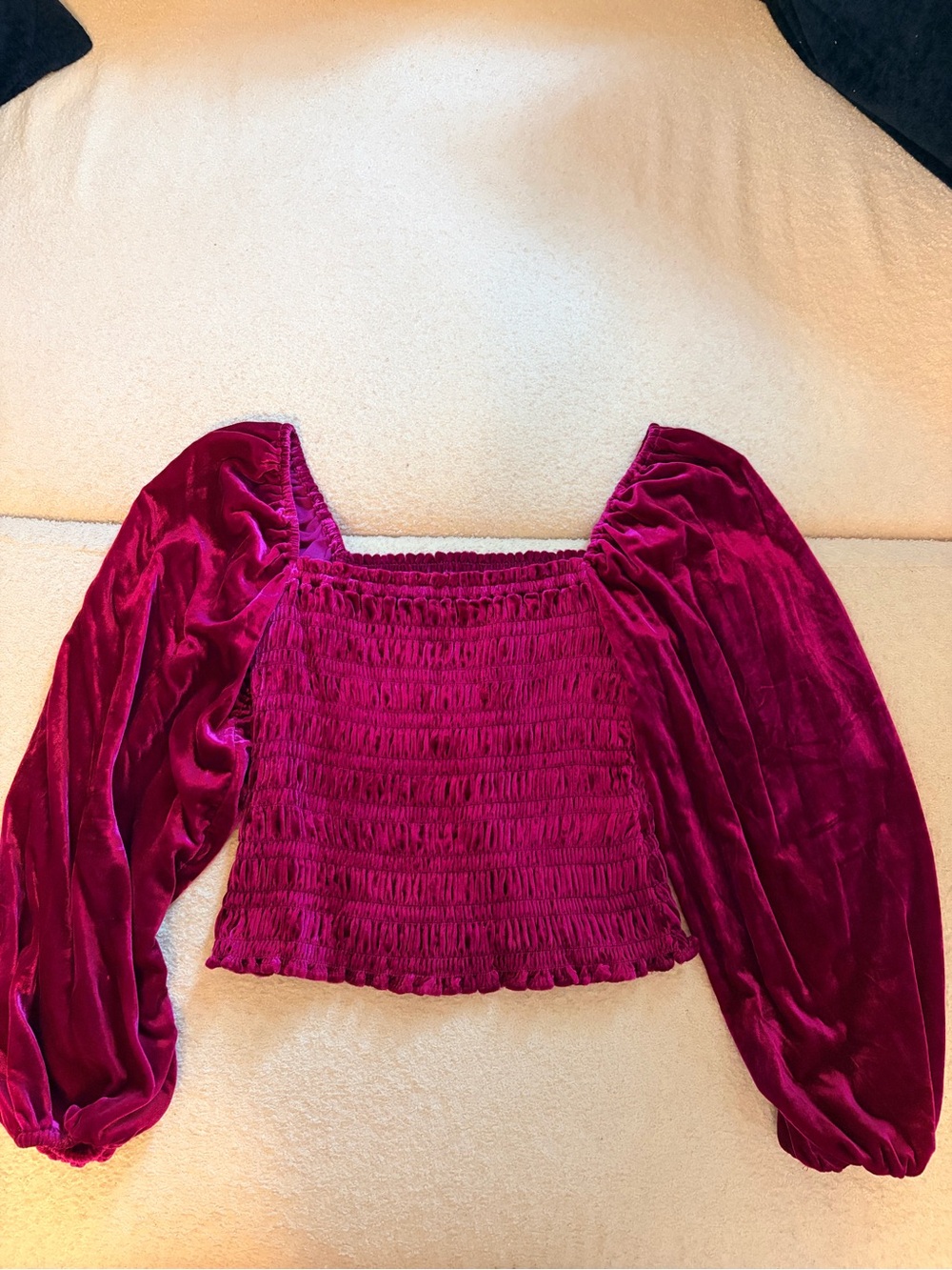 Anthropologie Deep Berry Velvet Smocked Puff-Sleeve Crop Top